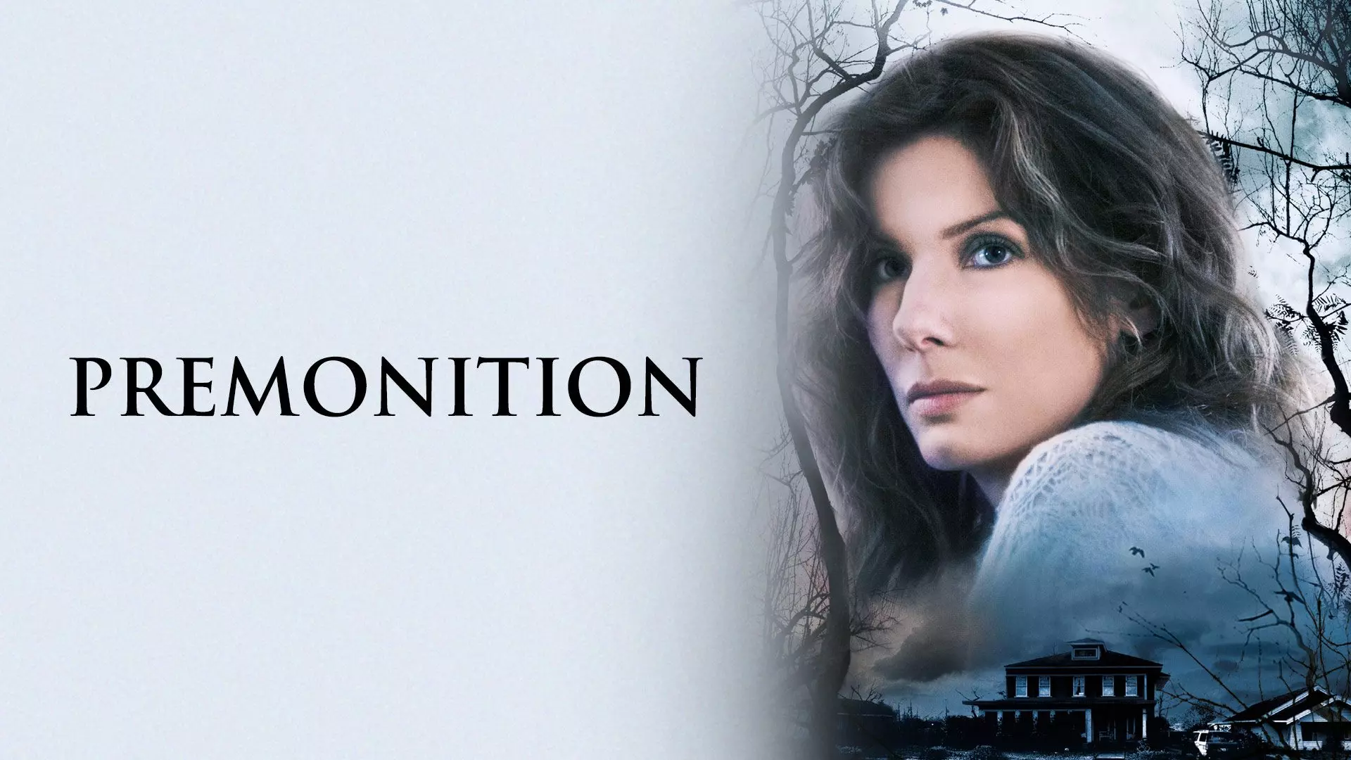 Premonition - A Twisting Tale of Fate & Family
