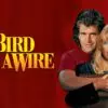 Bird on a Wire - Action-Comedy with Gibson & Hawn's Spark