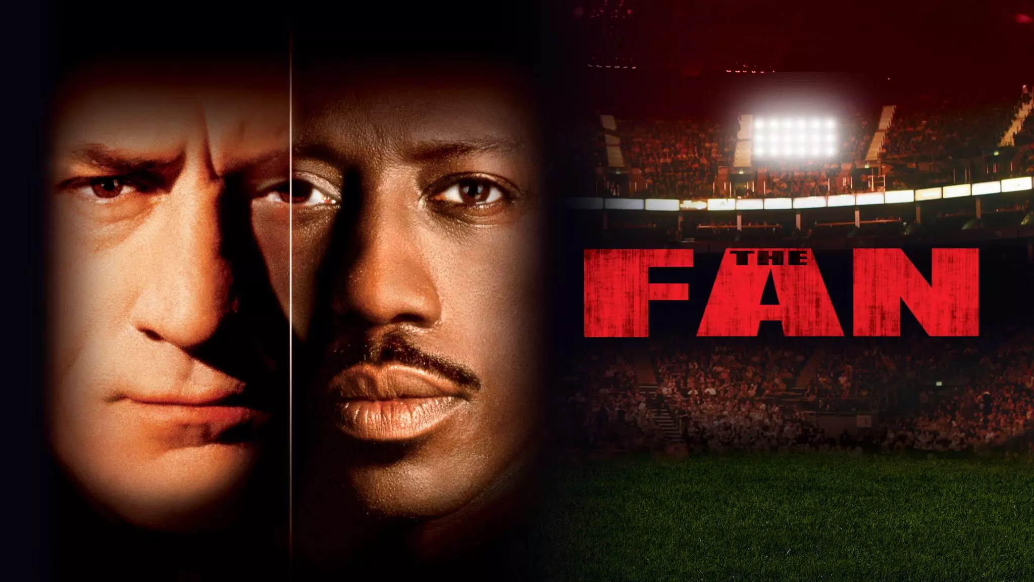 The Fan - A Sports Psychological Thriller