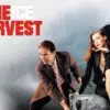 The Ice Harvest - Bleak Yuletide Noir