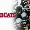 Wildcats - A High-Energy Gridiron Comedy of Grit & Grace