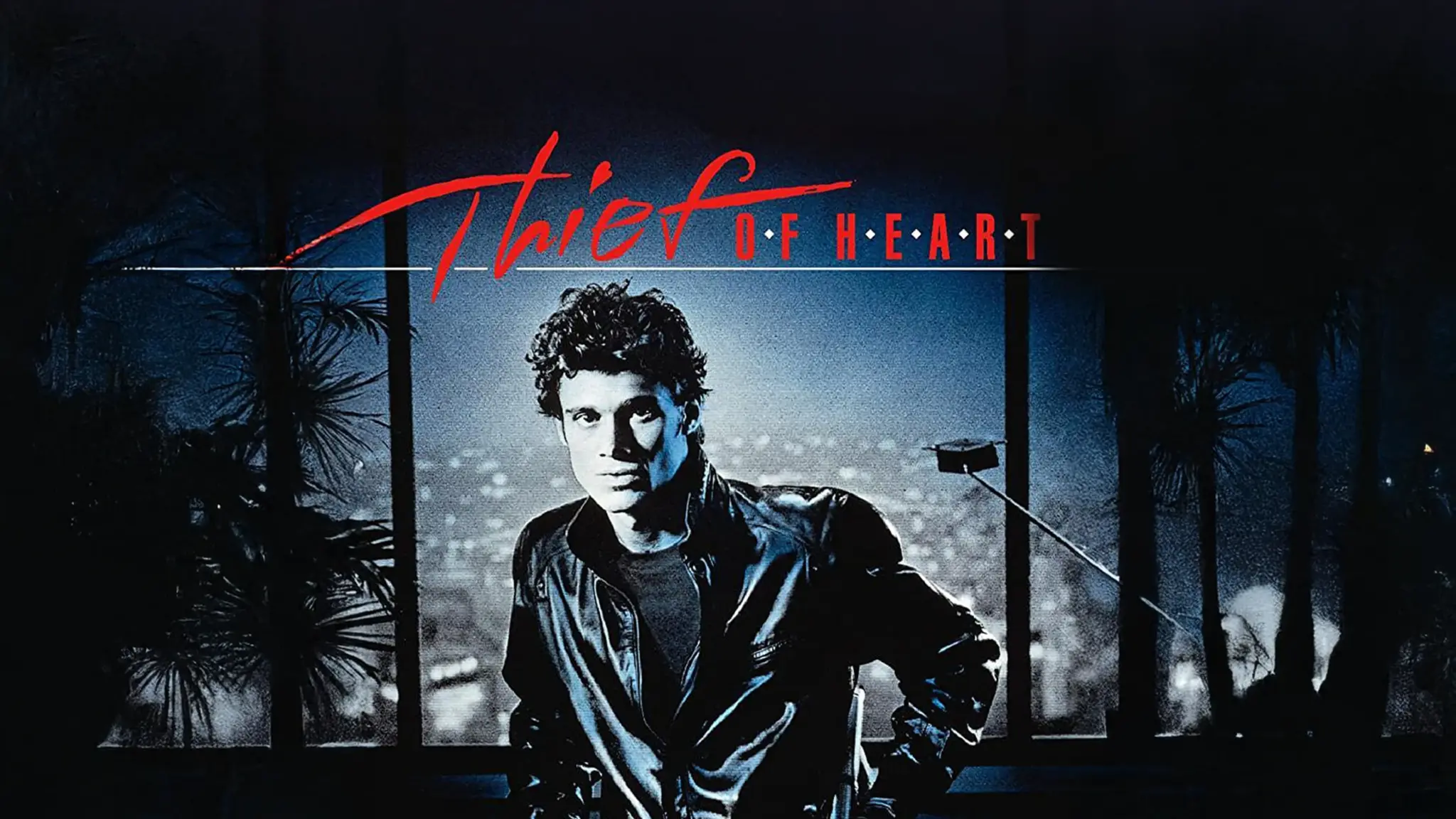 Thief of Hearts - A Glossy, Seductive 80s Erotic Thriller
