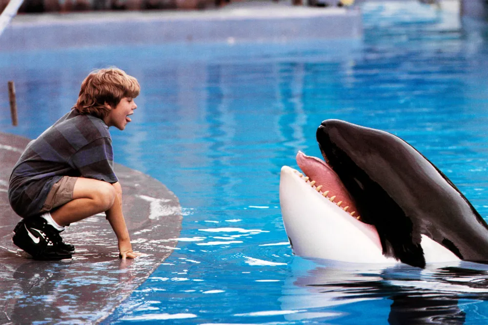 Free Willy - An Inspiring, Emotional Family Adventure