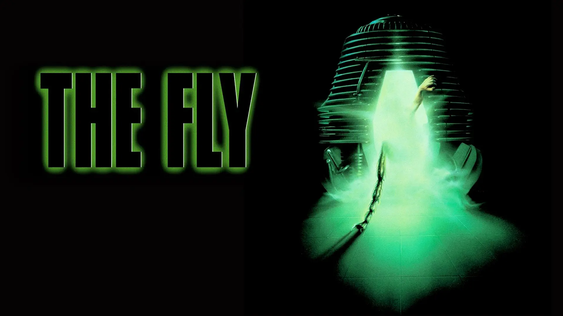 The Fly - A Visceral, Tragically Romantic Sci-Fi Masterpiece