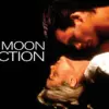 Two Moon Junction - A Steamy, Southern Gothic Romance