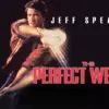 The Perfect Weapon - A Lightning-Fast 90s Martial Arts Classic